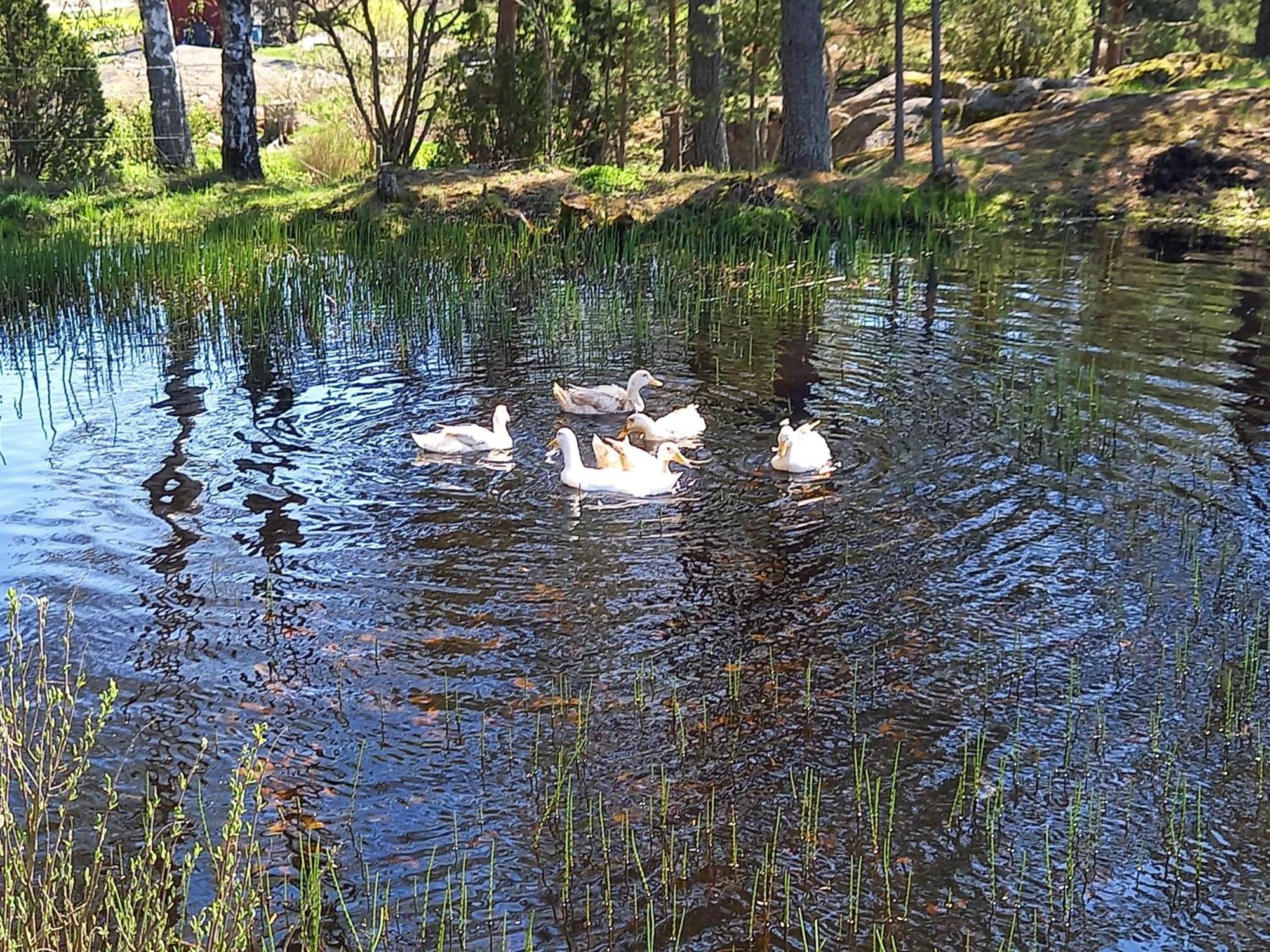 Sommaroe Stugor Föglö Zewnętrze zdjęcie